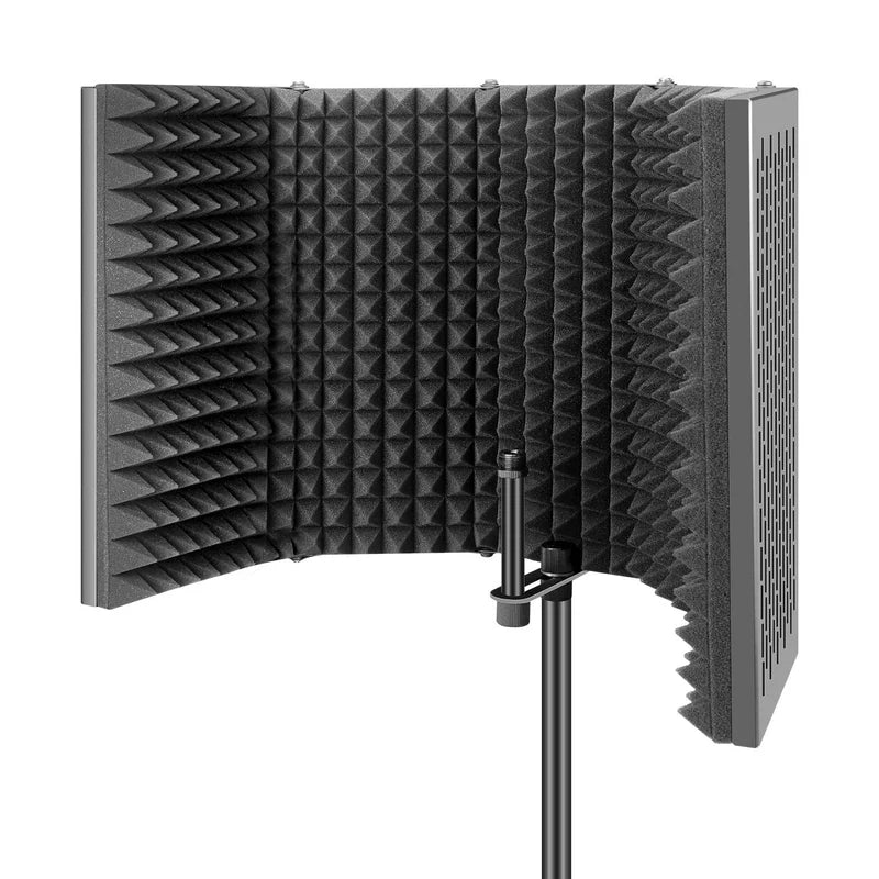 Recording Mic Filter